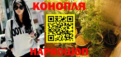 гашик Гусь-Хрустальный