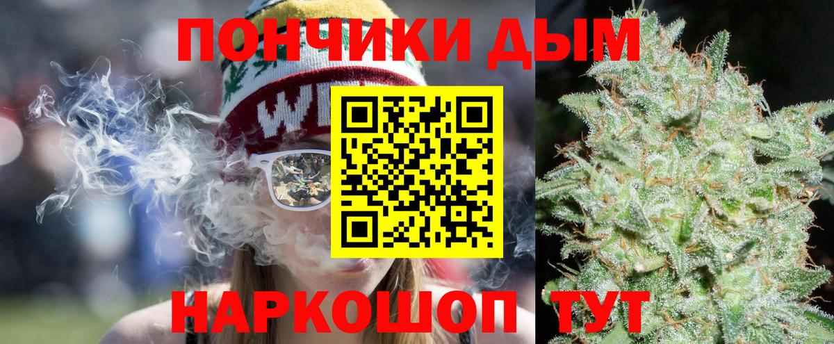 Бошки марихуана план  Вход с VPN  Каннабис ГИДРОПОН  Нурлат  Бошки Шишки индика  Конопля Bruce Banner 
